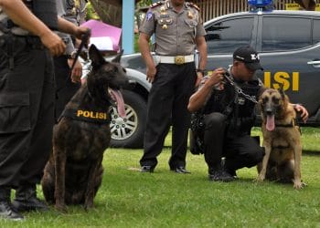 unit polisi di Indonesia