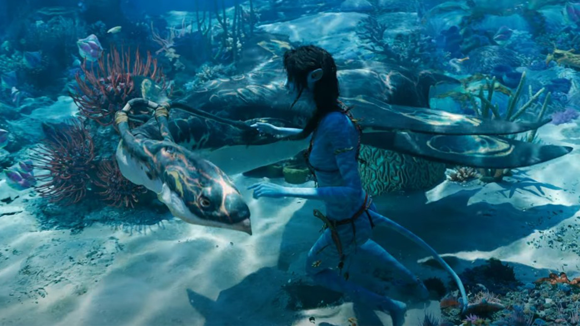 Avatar 2 final trailer shows Jake Sully, Neytiri & their kids learning Metkayina's Way of Water, Pandora promo takes over Times Square & more - Pursue News