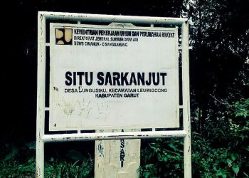 Situ Sarkanjut