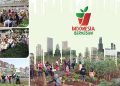 Indonesia Berkebun Peduli Lingkungan lewat Urban Farming