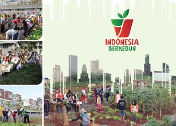 Indonesia Berkebun Peduli Lingkungan lewat Urban Farming