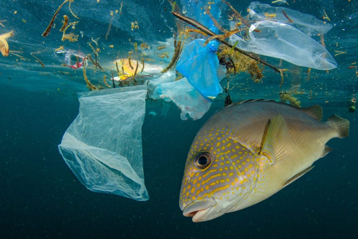 Teknologi Pengolahan sampah Ramah Lingkungan